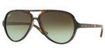 Ochelari de soare Ray-Ban CATS 5000 RB 4125 710/A6