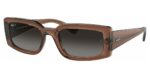 Ochelari de soare Ray-Ban KILIANE RB 4395 6678T3 54