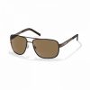 Ochelari de soare barbati Polaroid PLD 2025/S M4X BROWN DARK HAVANA
